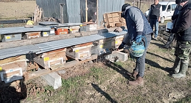 Arıcıların zararlılara karşı mücadelesi