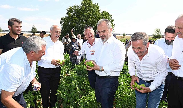 Bursa Büyükşehir'in çiftçiye desteği sürüyor
