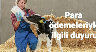 Buzağıda para ödemeleriyle ilgili duyuru