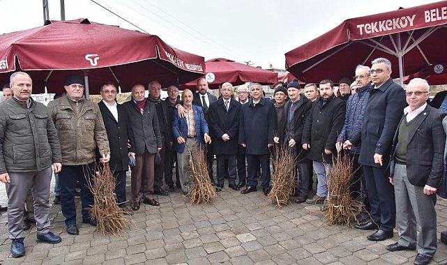 Çiftçilere 2 bin 500 kestane fidanı dağıtıldı