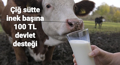 Çiğ sütte İnek başına 100 TL devlet desteği