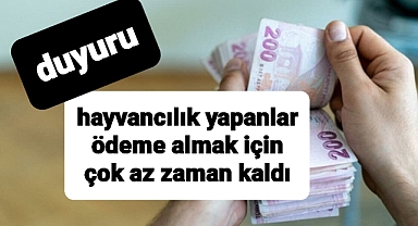 Duyuru...Hayvancılık yapanlar ödeme almak için az zaman kaldı