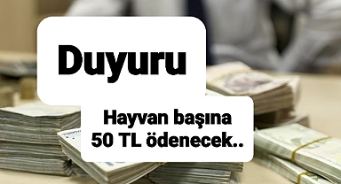 Hayvan başına 50 TL verilecek
