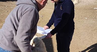 Hayvancılık desteği için kontroller başladı