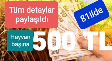 Hayvancılık desteğinin tüm detayları madde madde yayınlandı