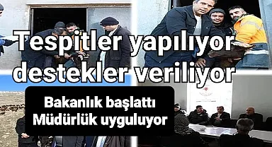 Hayvancılık destekleri için tespitler başladı.. Anaç koyun ve keçi desteği