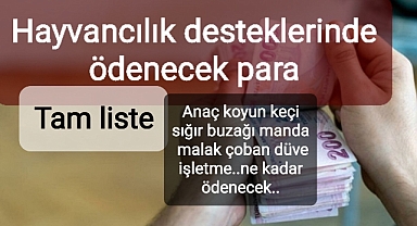 Hayvancılık destekleri tam liste