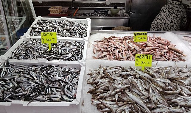 Akçakoca'da balıkçılar balık azlığından dertli