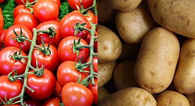 Altı patates üstü domates.. ayni bitkide iki ürün yetişir mi?