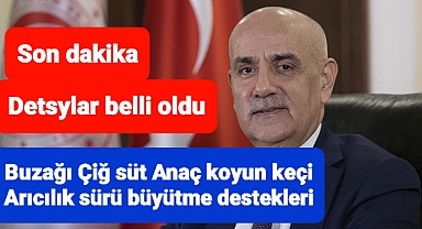 Bakan Kirişçi'den destek açıklaması