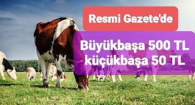 Büyükbaş için hayvan başına 500 lira, küçükbaş için hayvan başına 50 lira