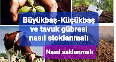 Büyükbaş küçükbaş hayvan ve tavuk gübresi nasıl stoklanmalı