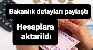Destek ödemeleri hesaplarda.. Desteklerin detayları paylaşıldı