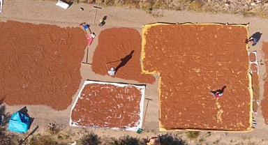 Destekler bu kez fındık üreticileri için açıklandı