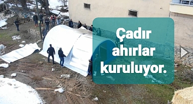 Hayvan sahiplerine çadırdan ahır..