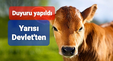 Hayvancılık desteği ile ilgili duyuru