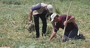 Ödeme listesi bir ilde daha yayınlandı