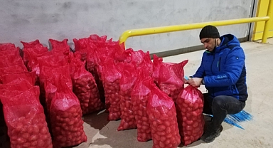 Patateslerin depo kontrolleri yapılıyor