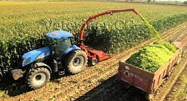 Silaj nasıl depolanmalı? Zararı önleyin