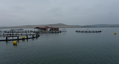 Türk Somonu 75 günde sofrada