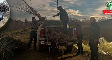 Üreticilere hibe fidan