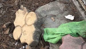 Siirt Üniversitesi'nin bakımsızlığı pes dedirtti