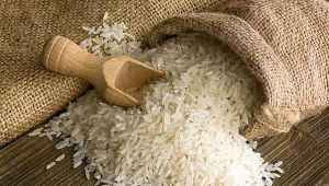 What is the price of 1 kg rice? What is the market rate of rice today? What is the price of Basmati in UP? What is the rice forecast for 2023?