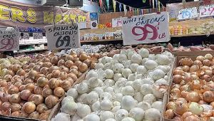 What is the price of onion 1kg? How much is 1 kg of onion in US? US Onions 2023 Retail Prices US Onions Wholesale Prices US 